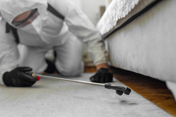 Professional Pest Control technician working in Harrison County County, KY